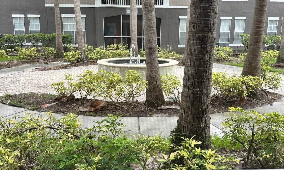 Photo of Outdoor in Tampa