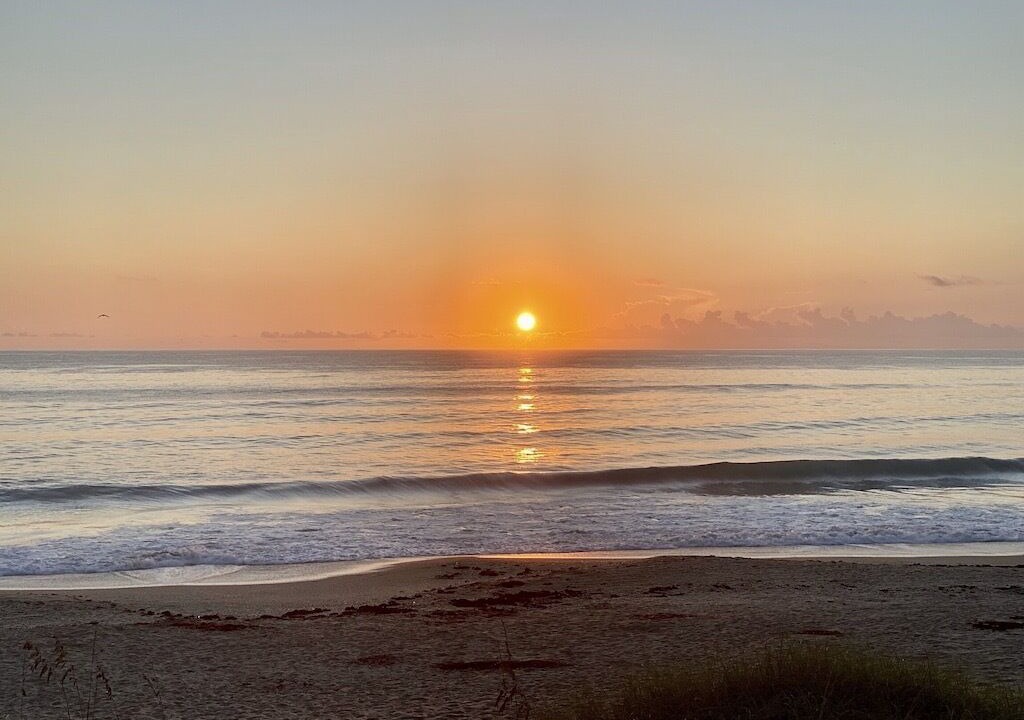 Photo of Others in Hutchinson Island South