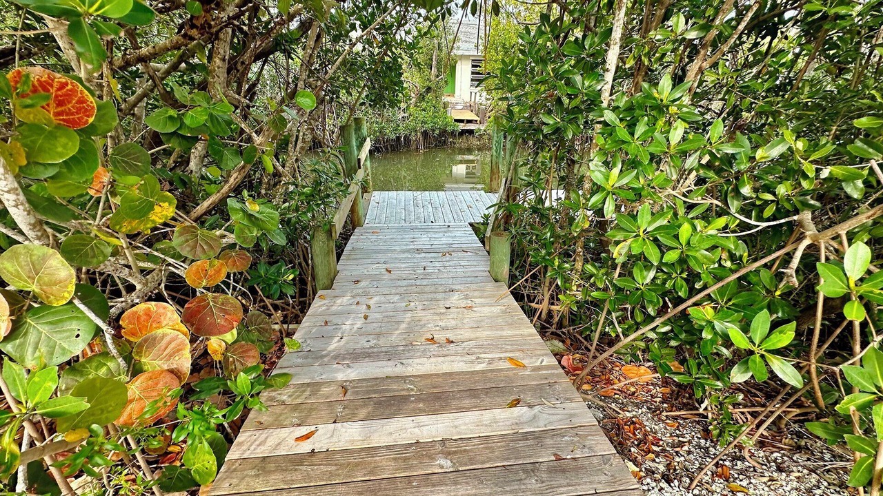 Photo of Outdoor in Sanibel