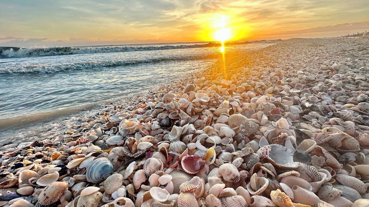 Photo of Others in Sanibel
