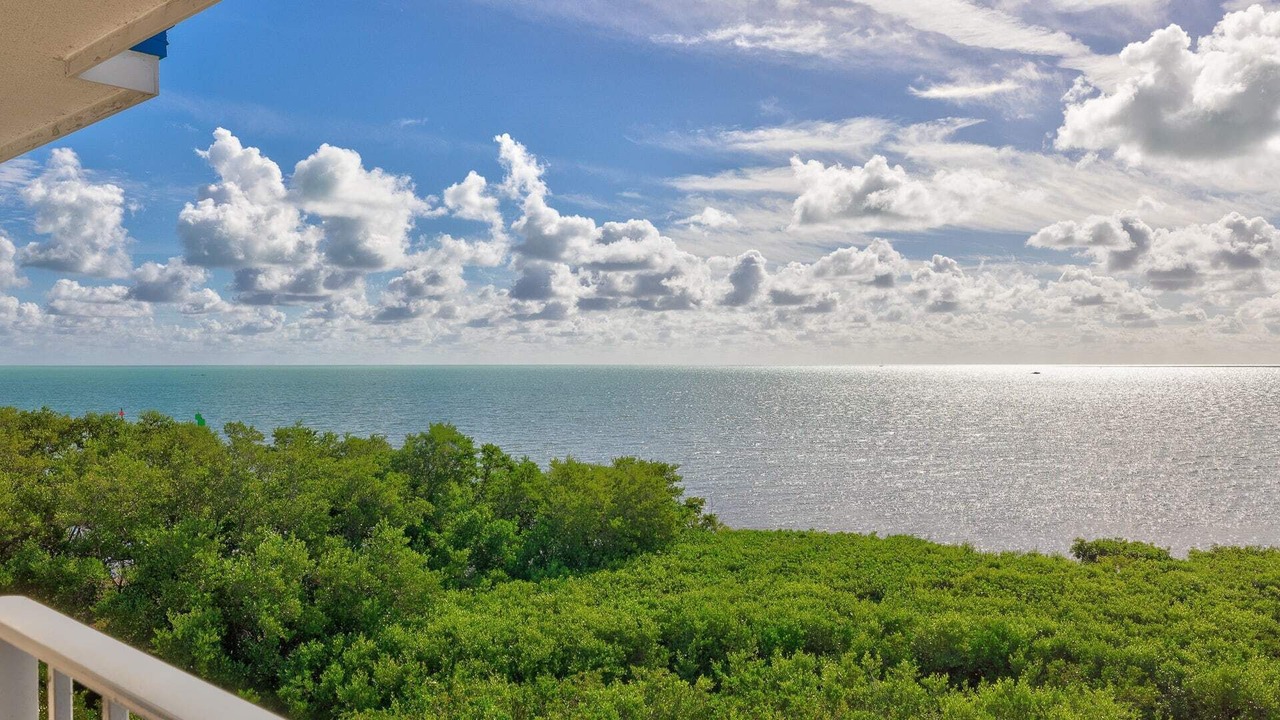 Photo of Outdoor in Tavernier