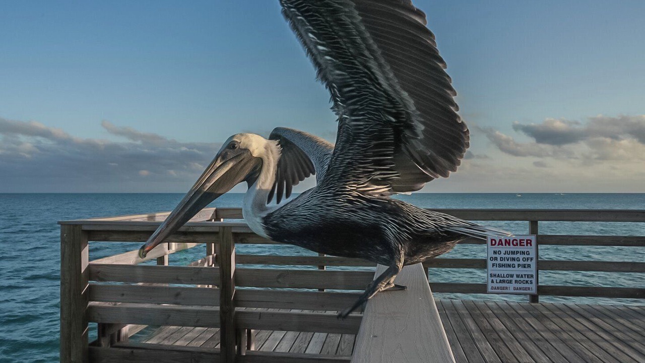 Photo of Others in Key Colony Beach
