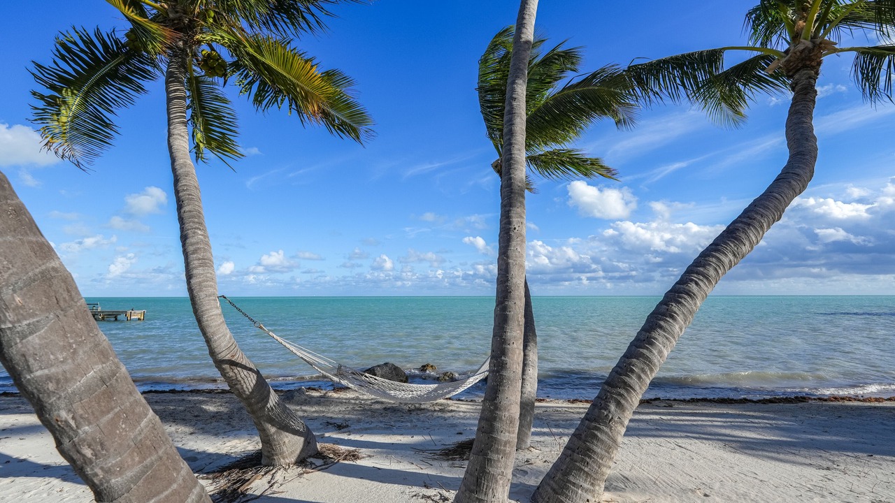 Photo of Others in Islamorada
