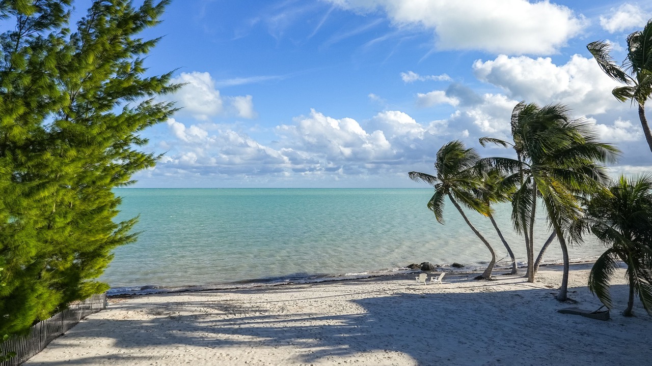 Photo of Others in Islamorada