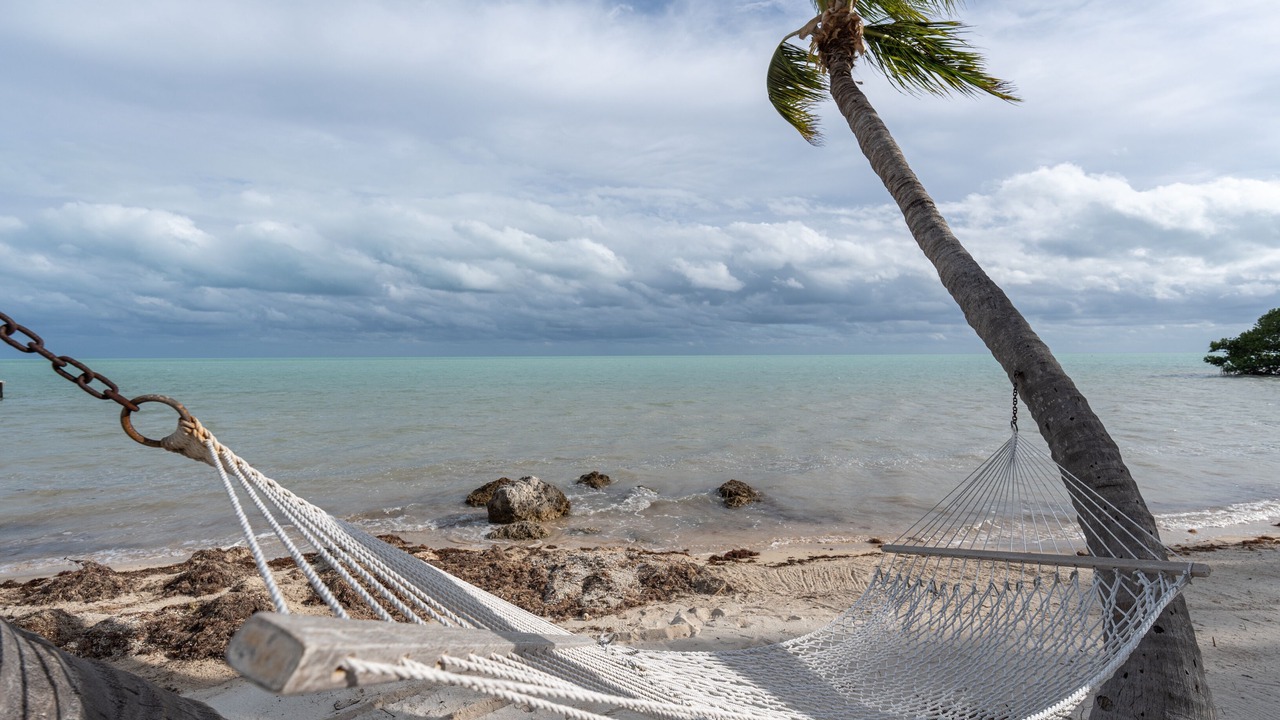 Photo of Others in Islamorada
