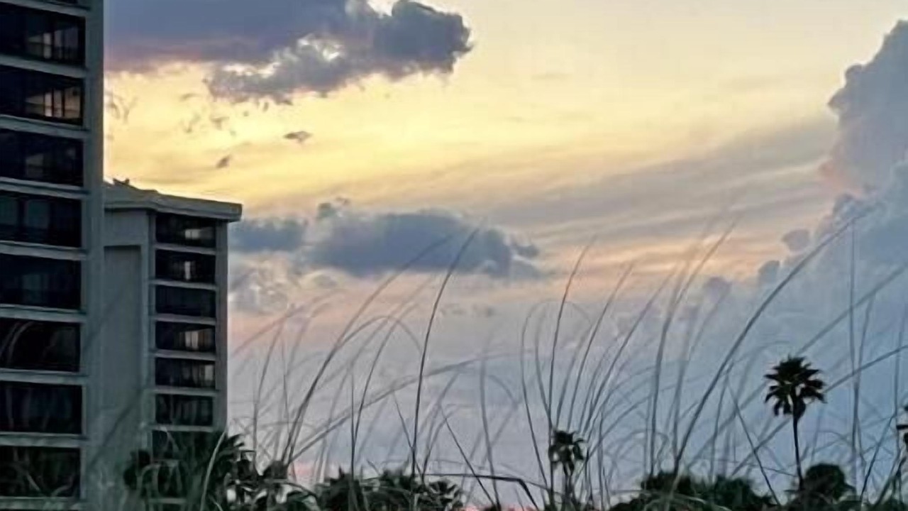 Photo of Outdoor in Fort Pierce
