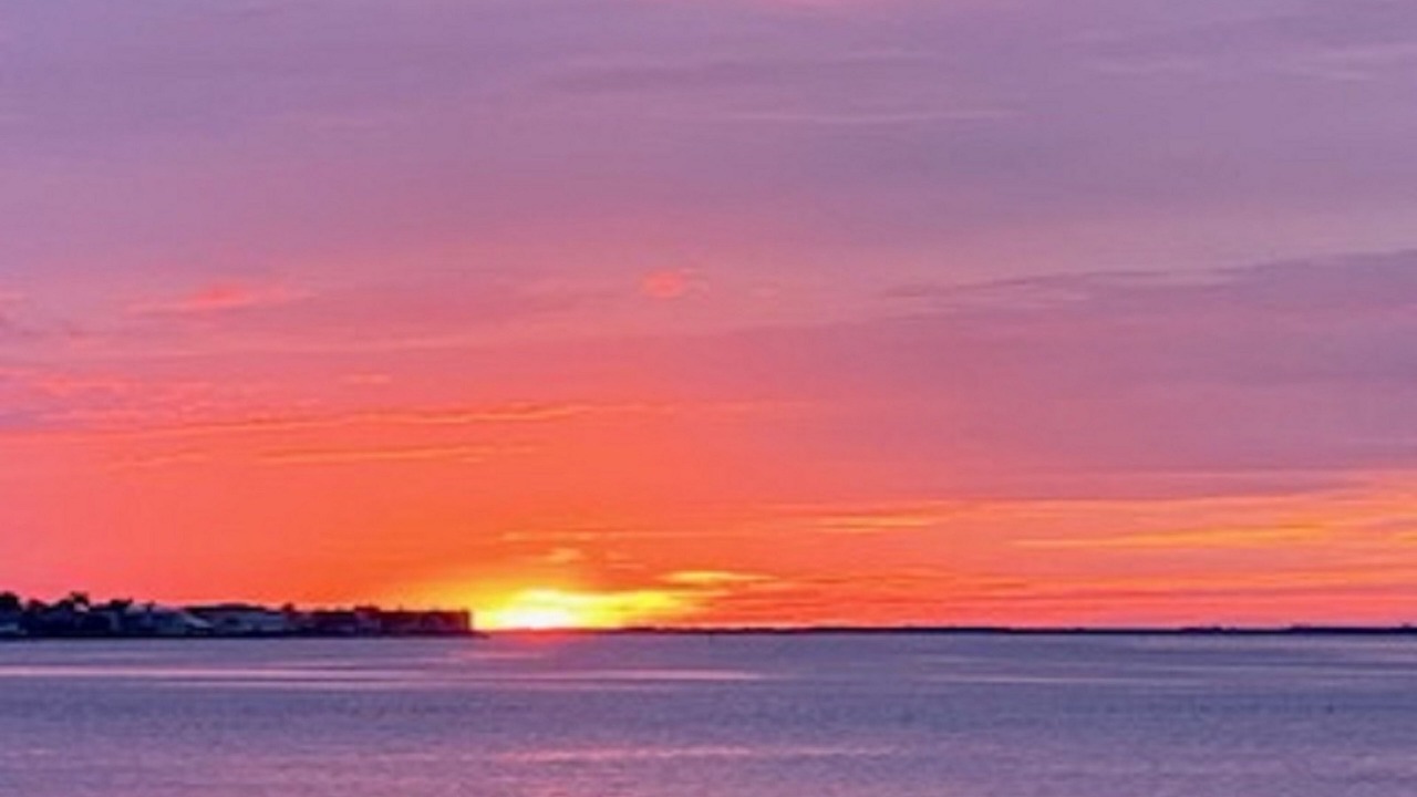 Photo of Others in South Gulf Cove