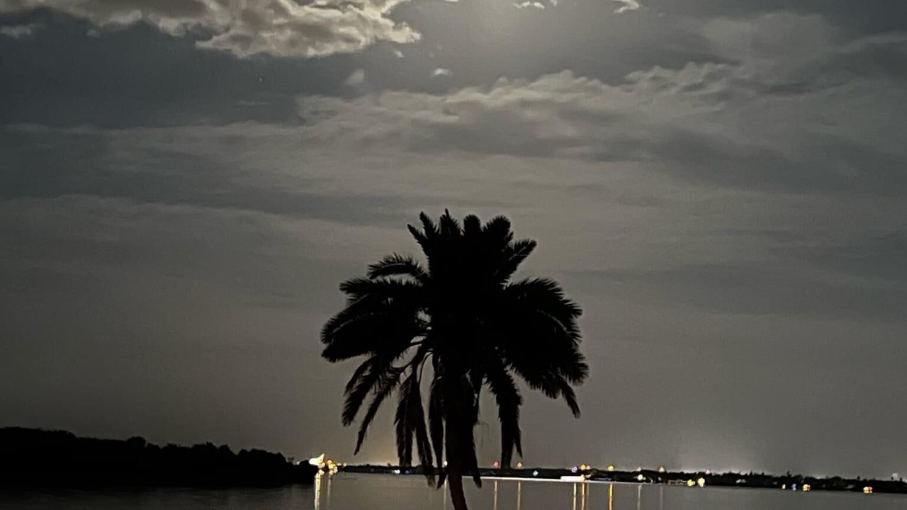 Photo of Outdoor in Fort Myers