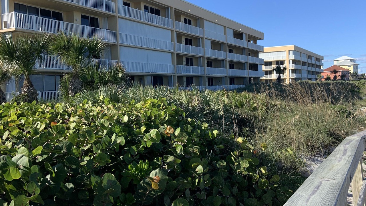 Photo of Outdoor in Indian Harbour Beach