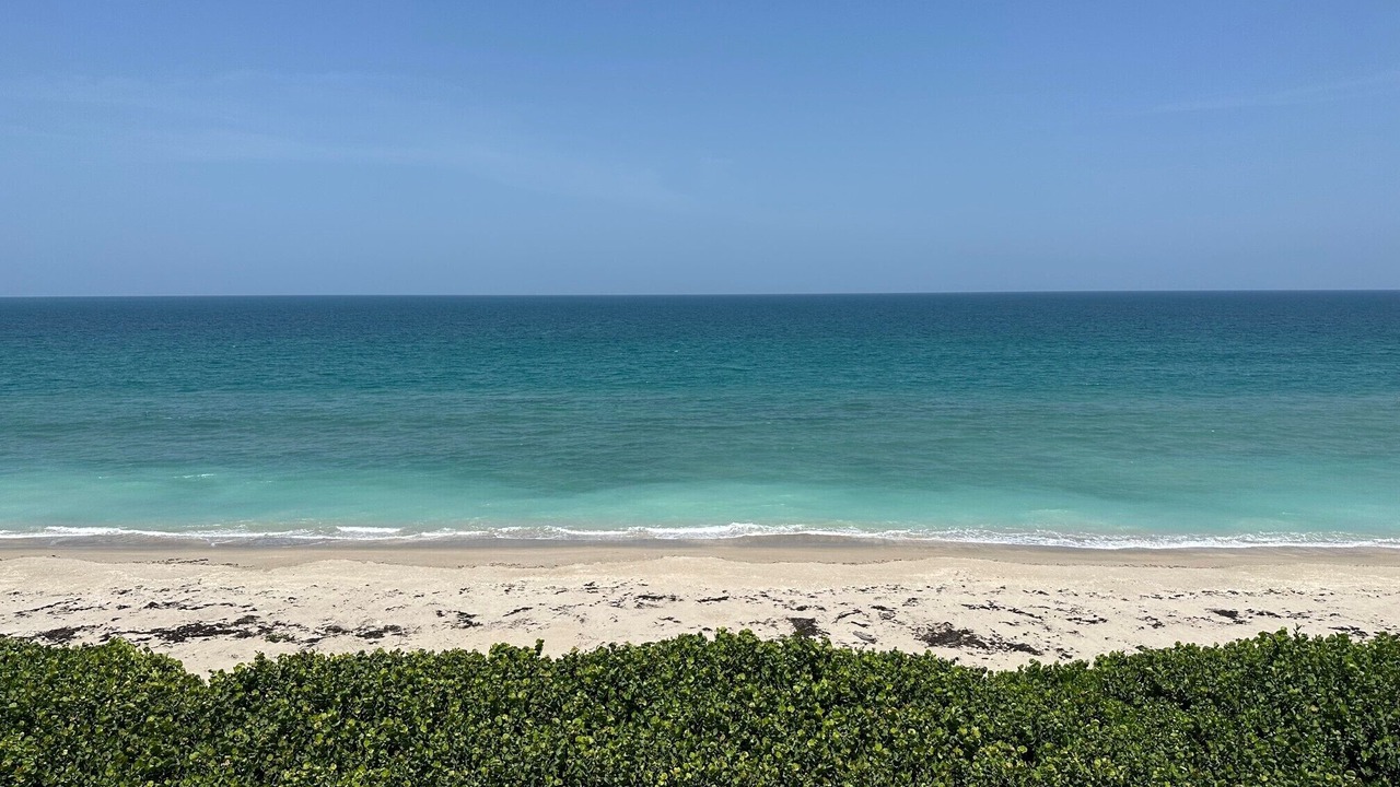 Photo of Others in Hutchinson Island South