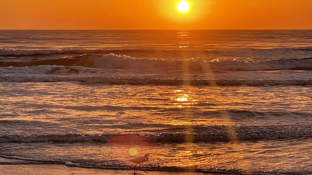 Photo of Others in Daytona Beach Shores