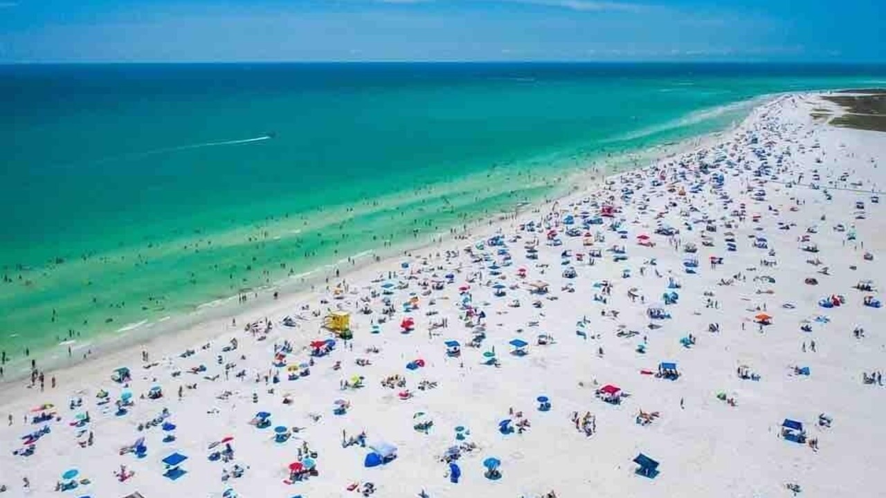 Photo of Others in Siesta Key