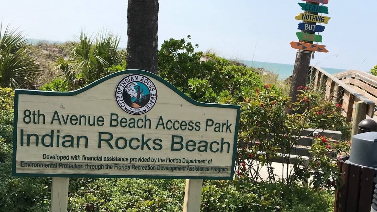 Photo of Others in Indian Rocks Beach