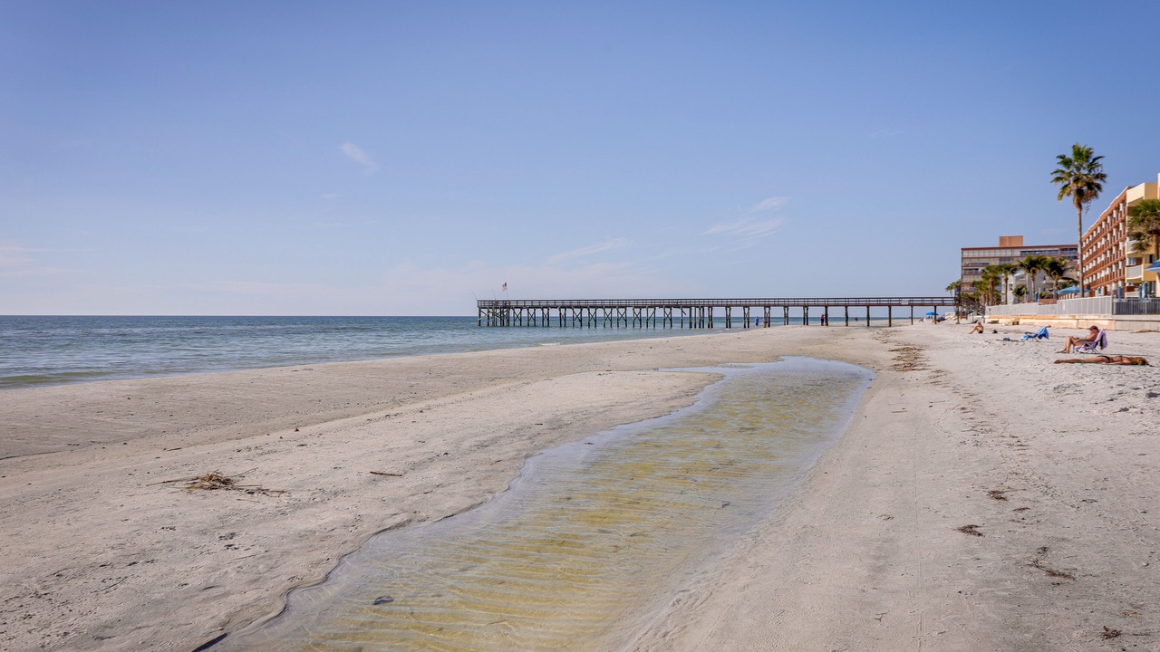Photo of Others in Redington Beach