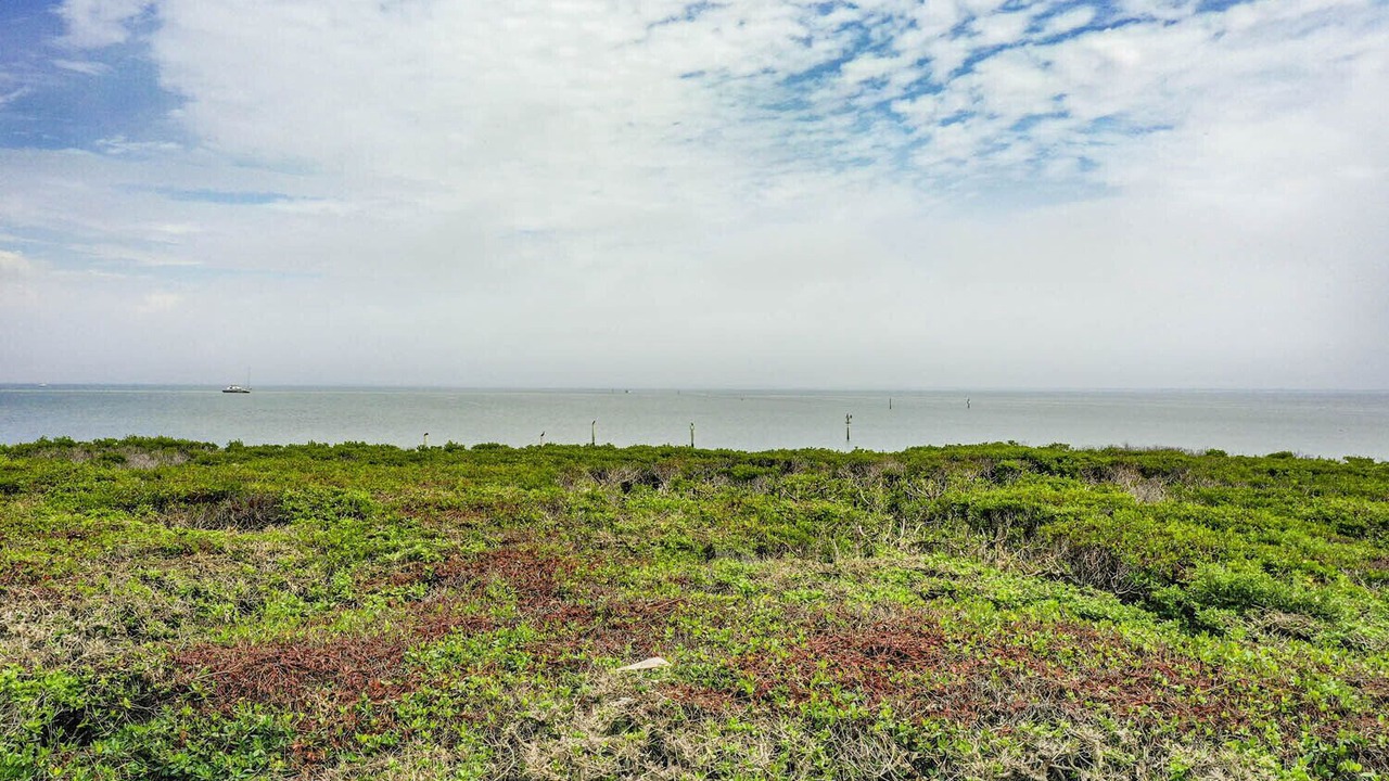 Photo of Others in Captiva