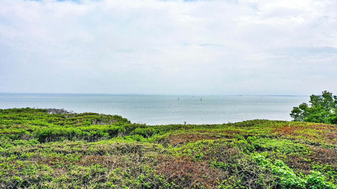 Photo of Others in Captiva