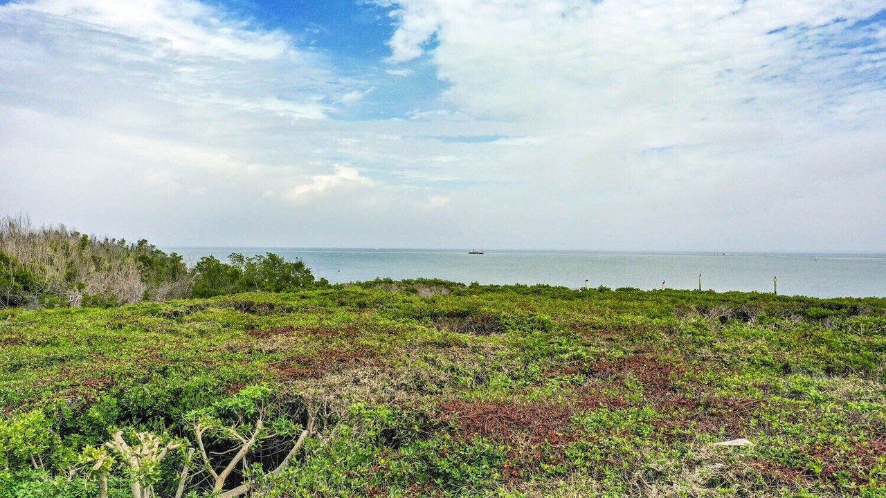 Photo of Others in Captiva