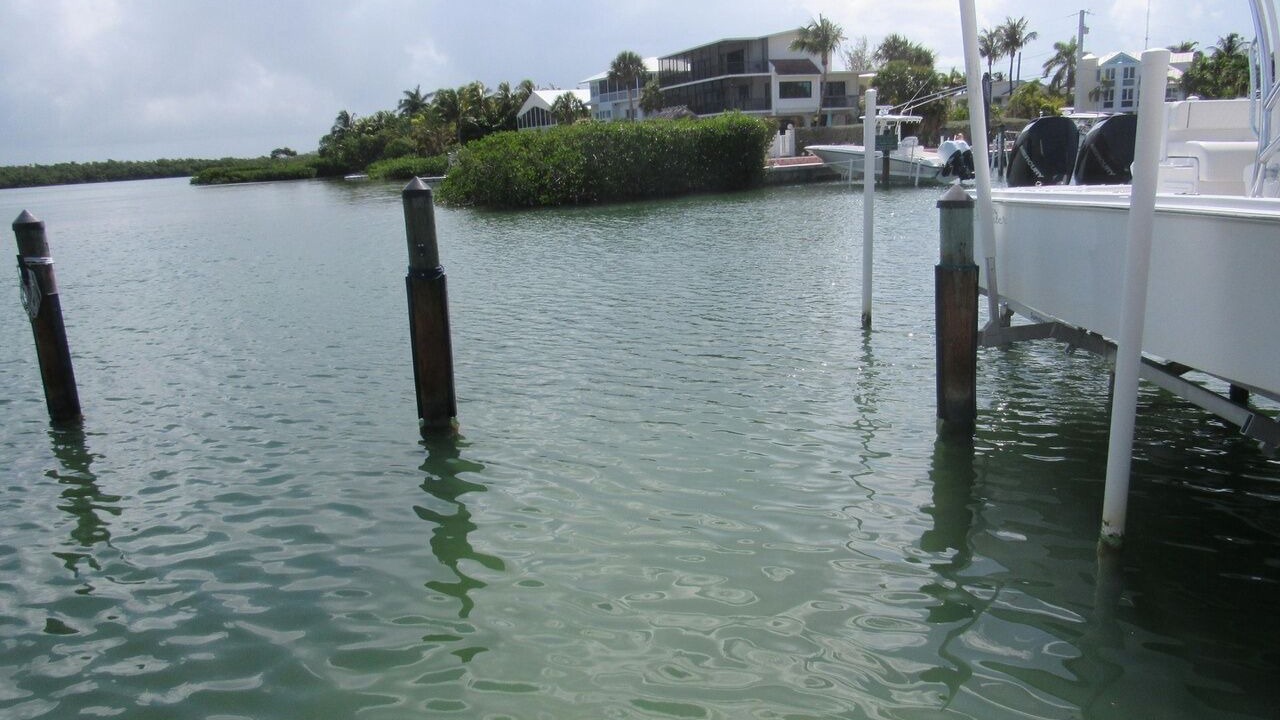 Photo of Others in Venetian Shores