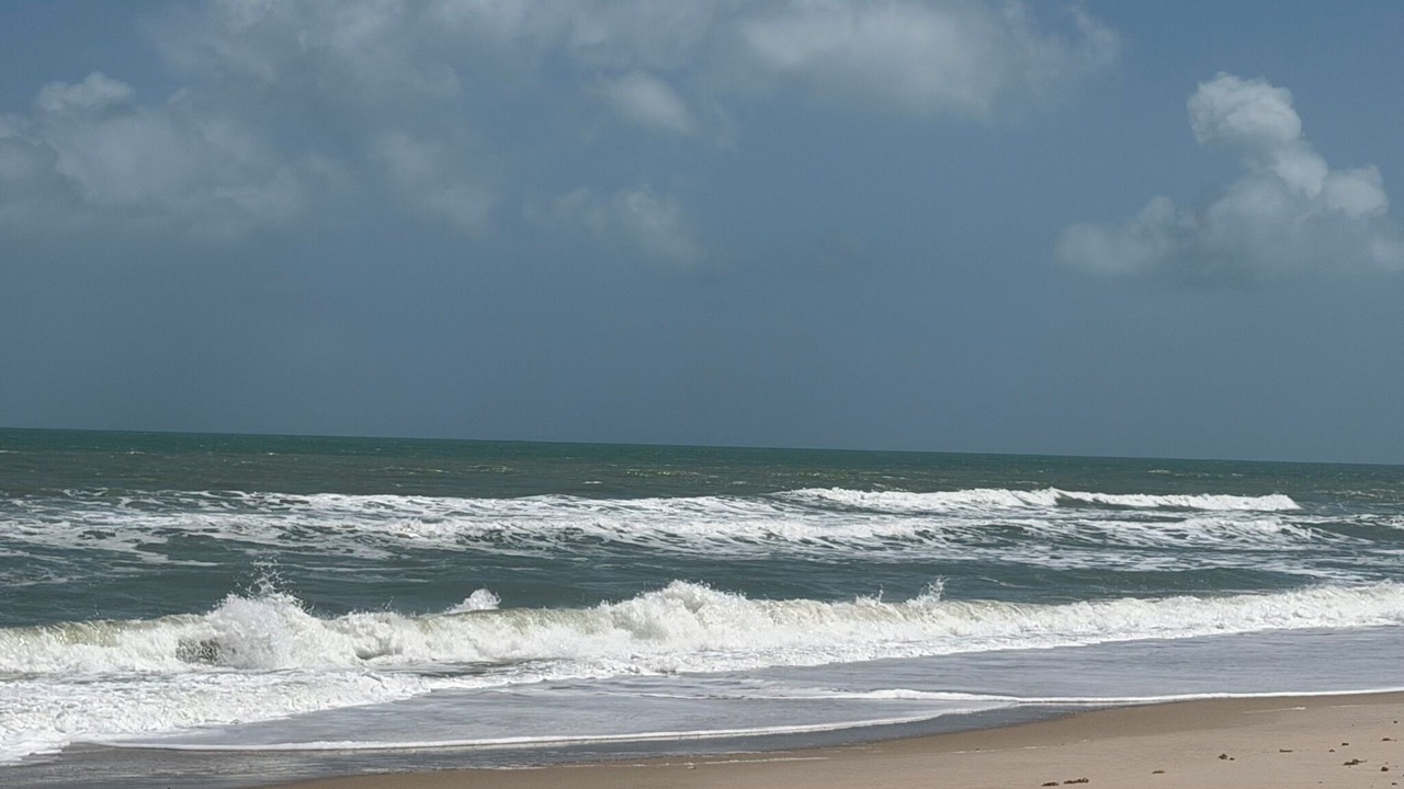 Photo of Others in Melbourne Beach