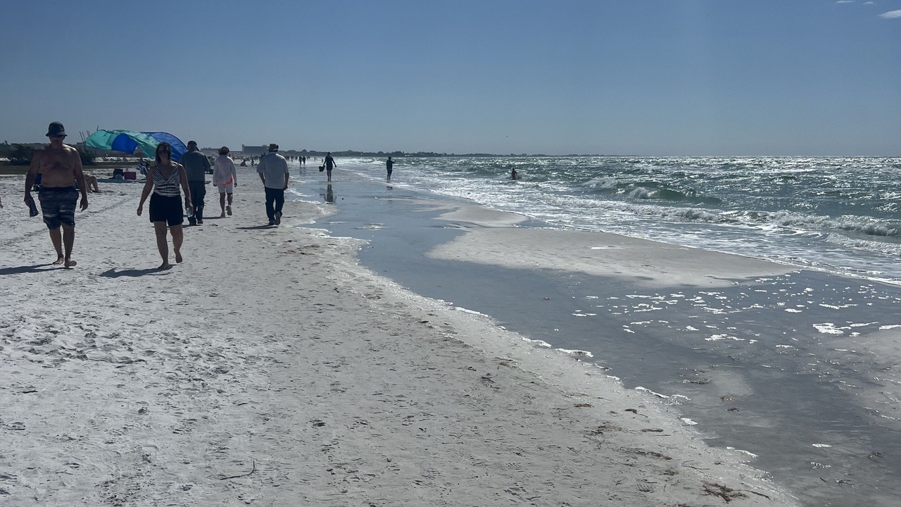 Photo of Others in Siesta Key