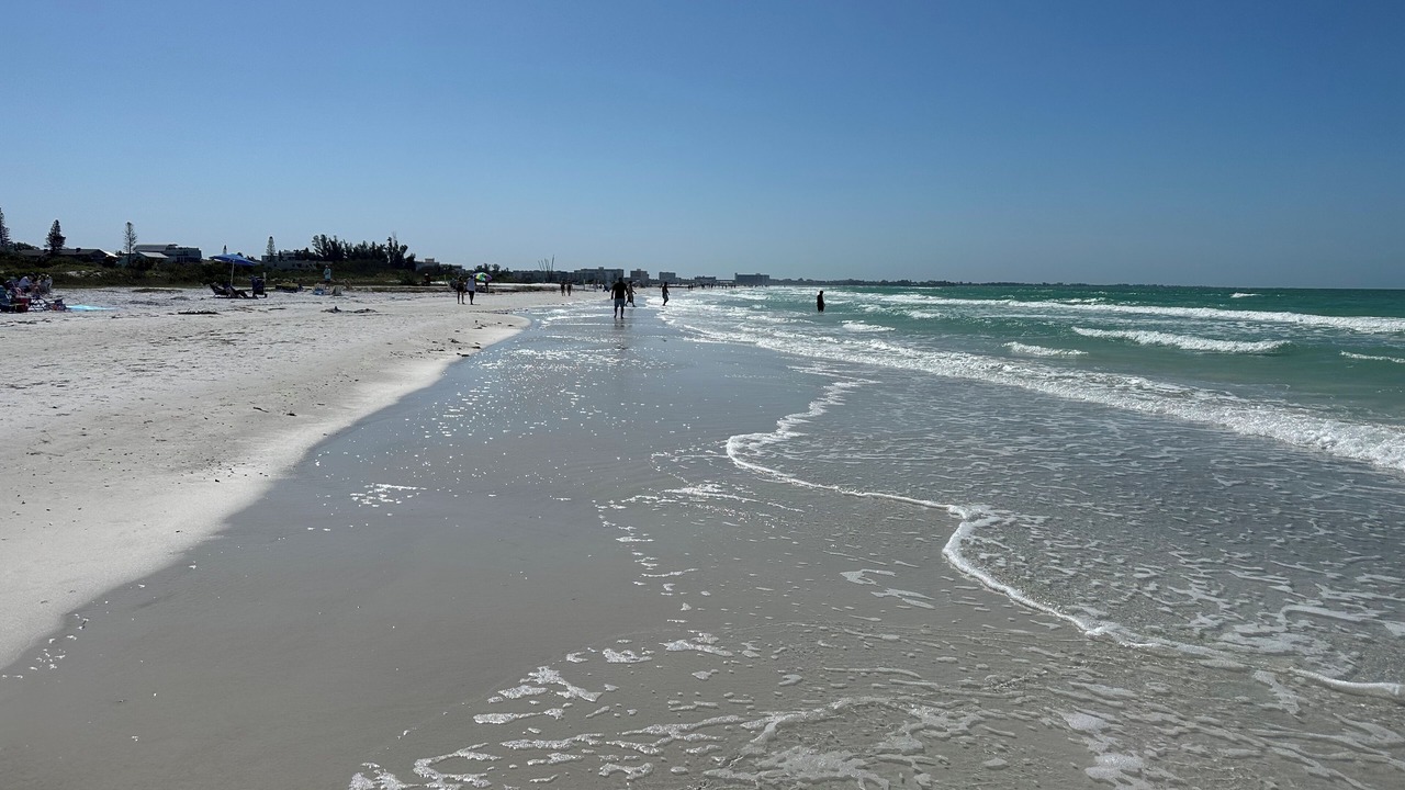 Photo of Others in Siesta Key