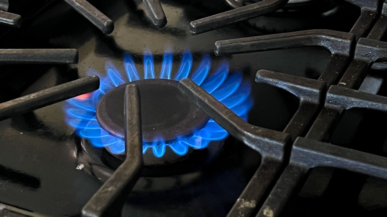 Photo of Others in Historic Downtown Melbourne