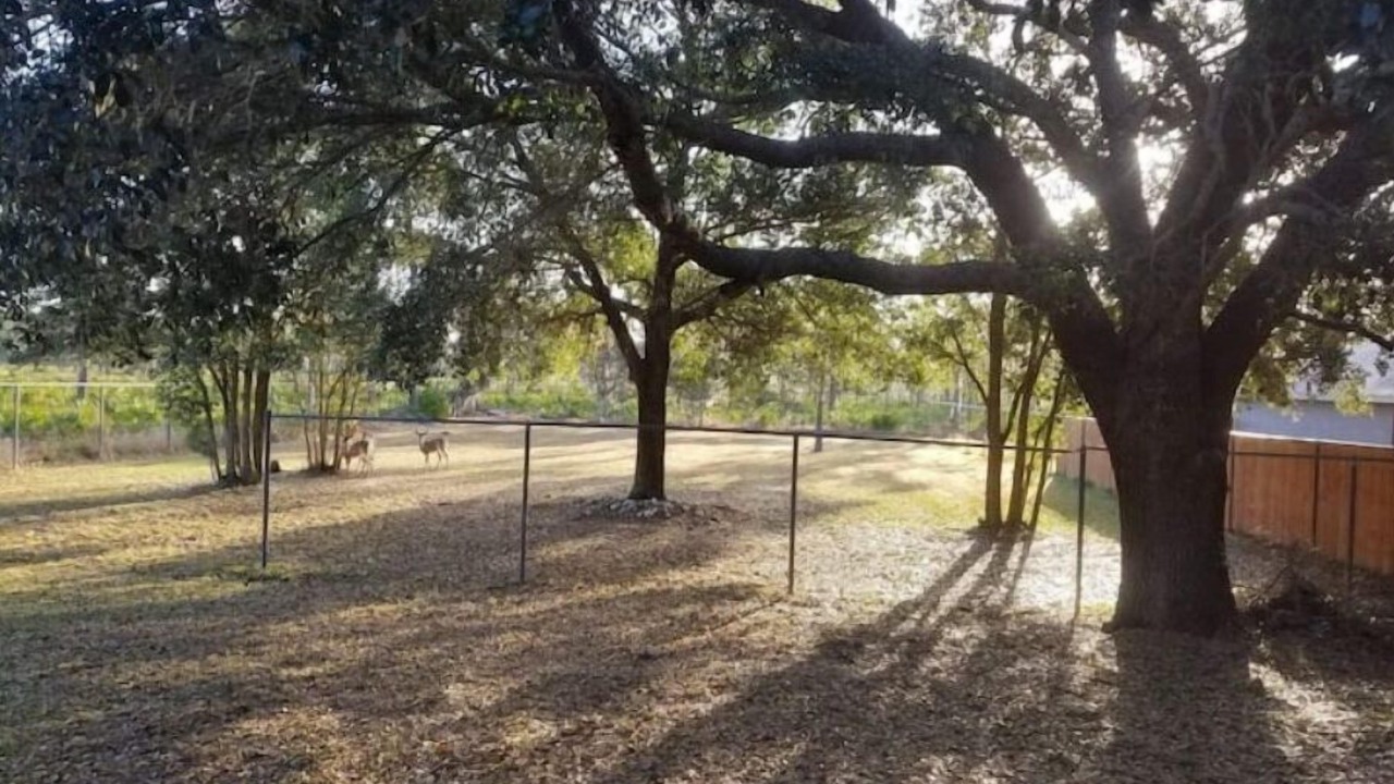 Photo of Outdoor in Sebring