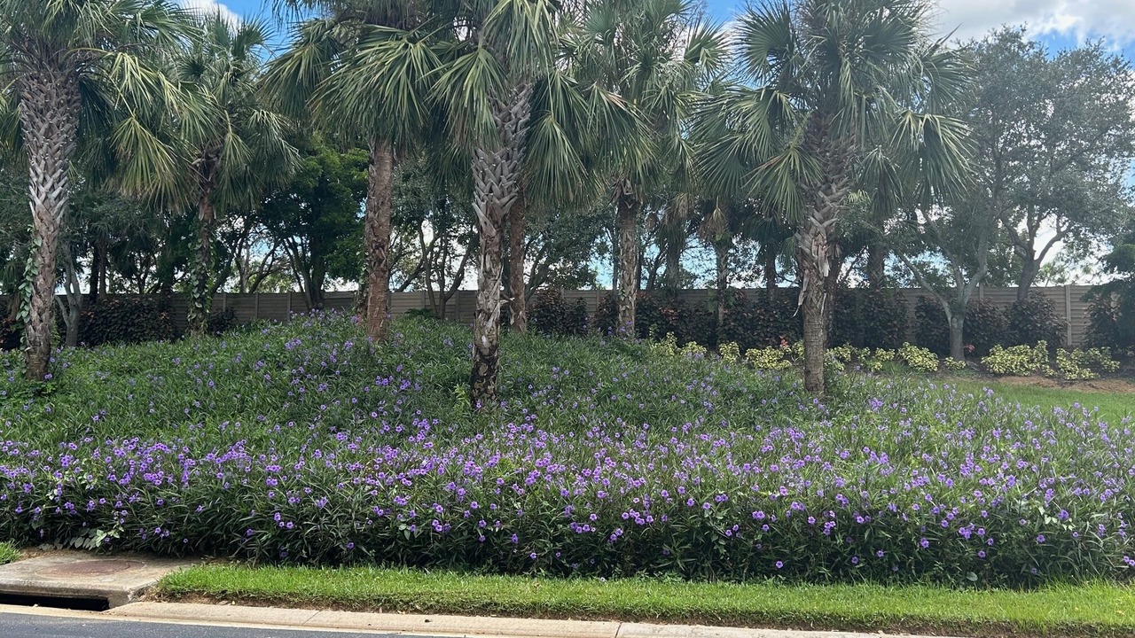 Photo of Outdoor in Bonita Springs
