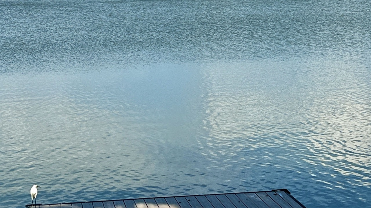 Photo of Others in North Naples
