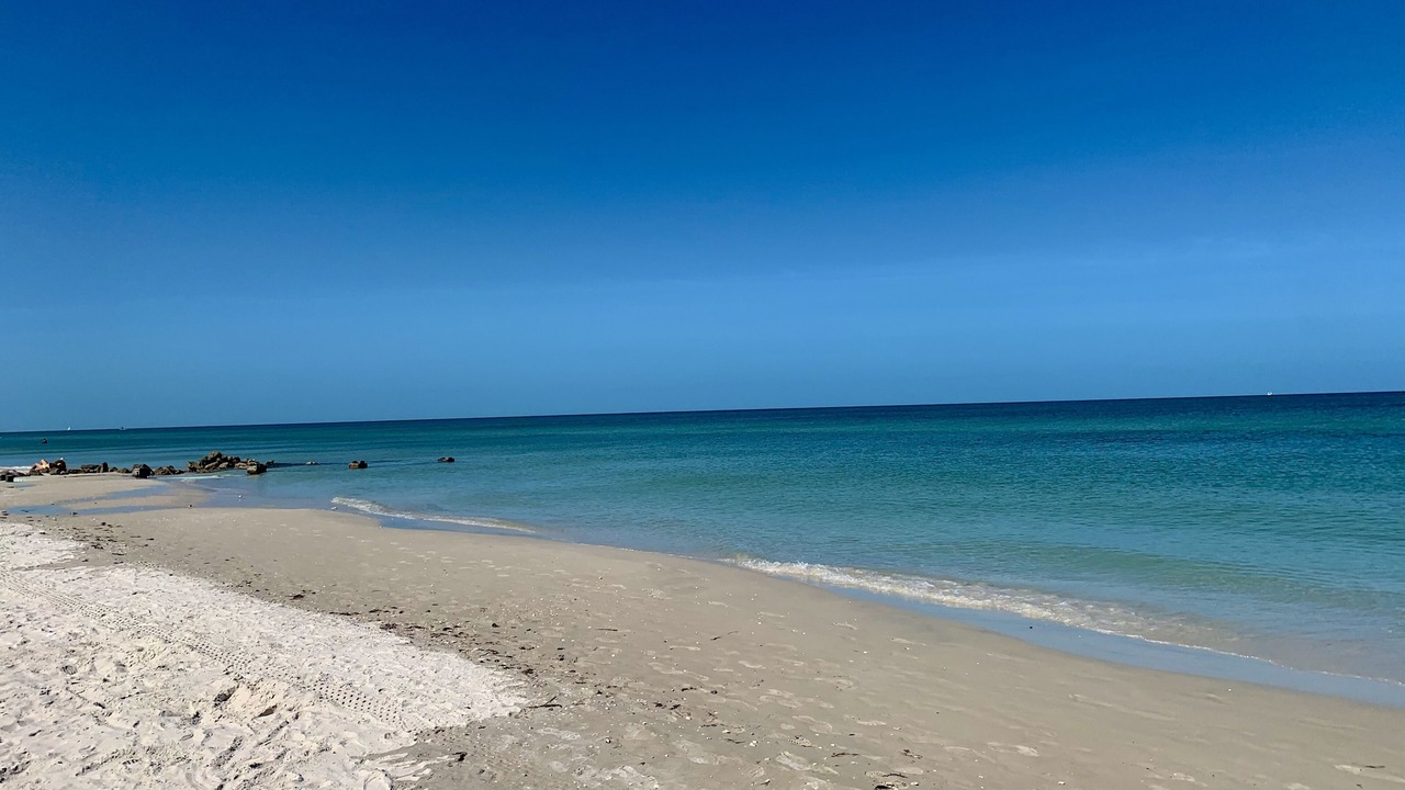 Photo of Others in North Naples