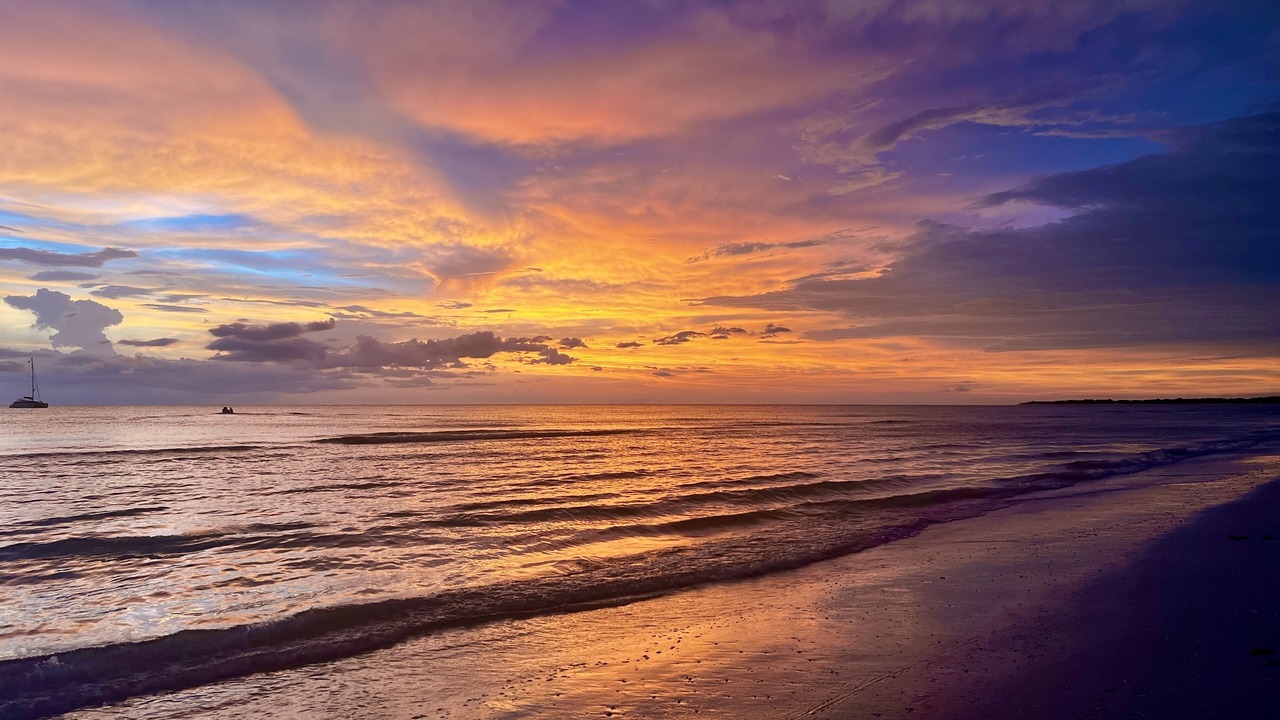 Photo of Others in North Naples