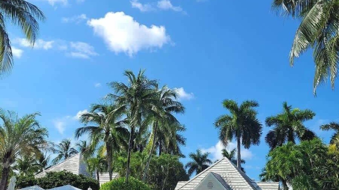 Photo of Others in Key Biscayne
