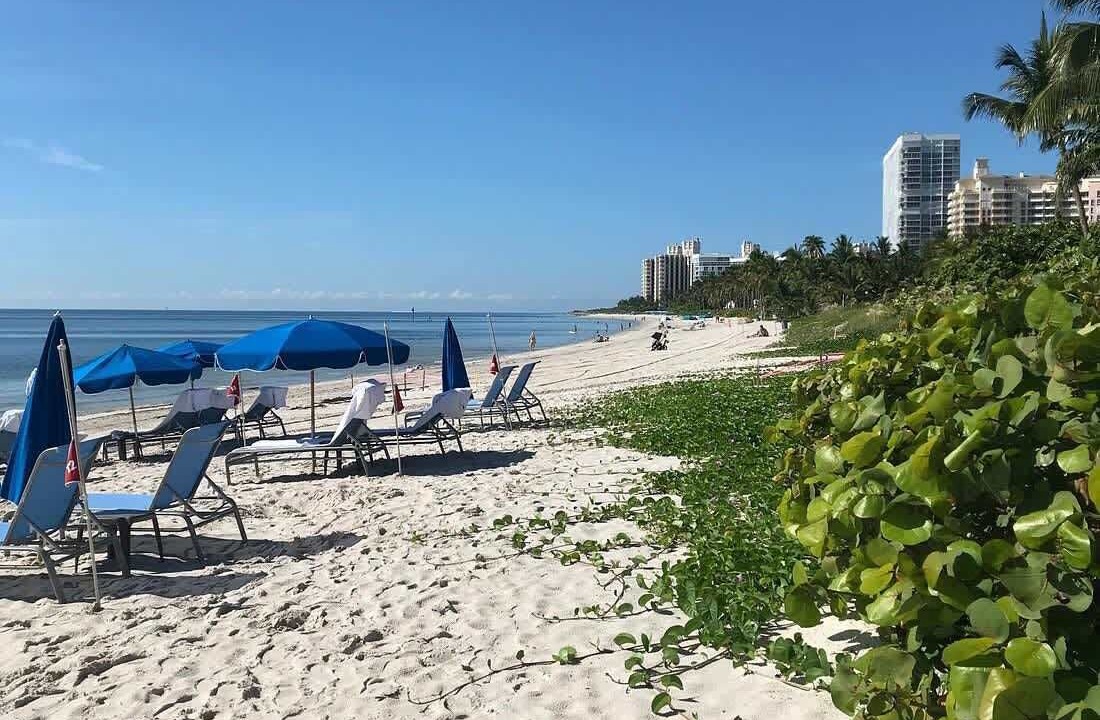 Photo of Others in Key Biscayne