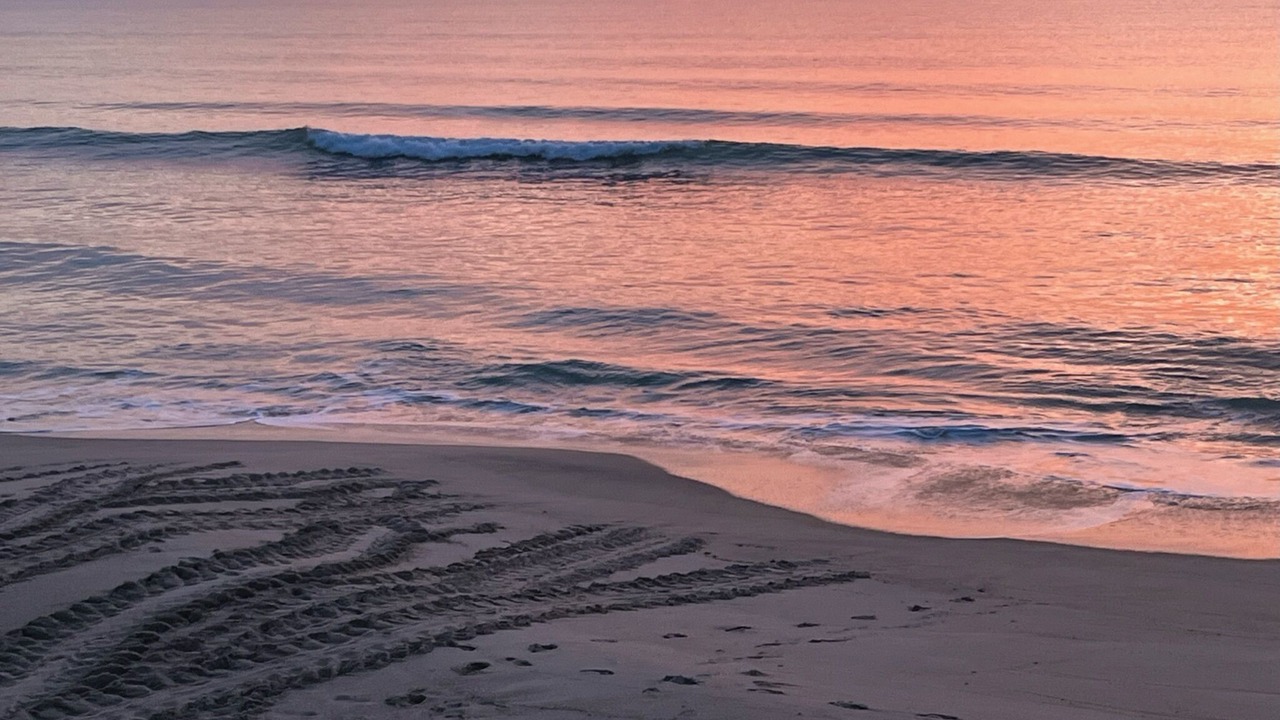 Photo of Others in Floridana Beach