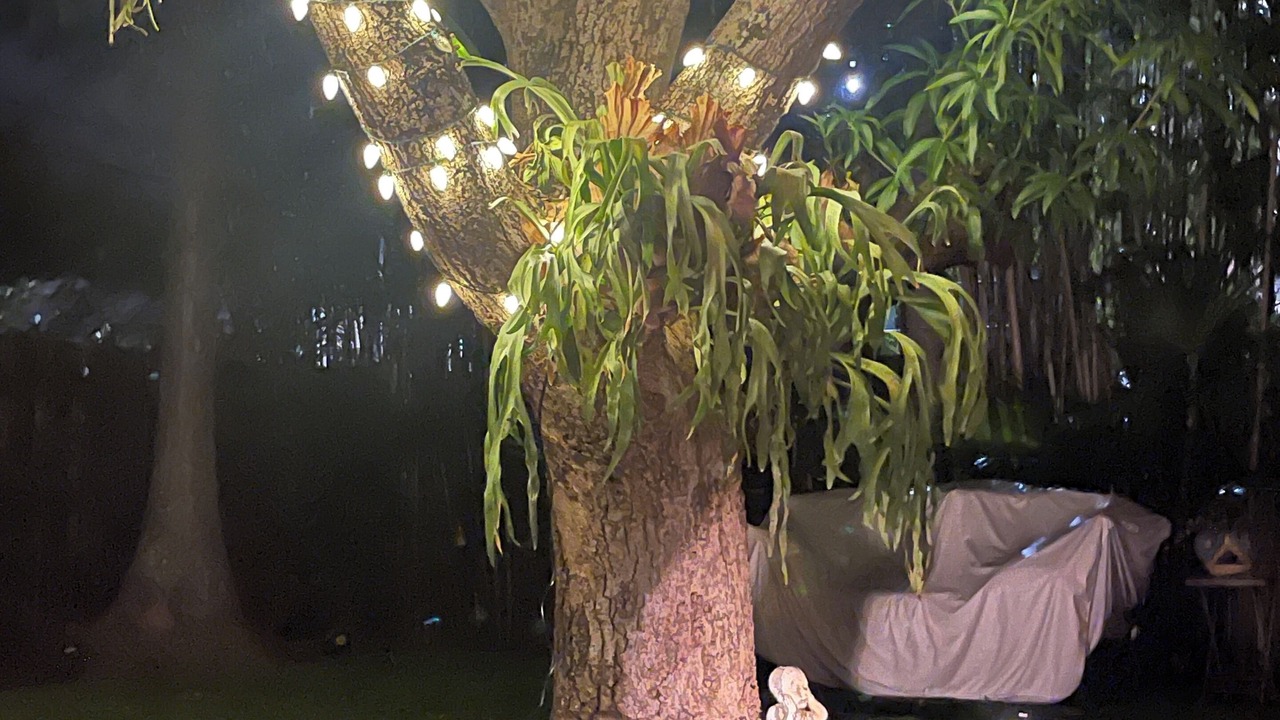 Photo of Outdoor in Pinewood Park