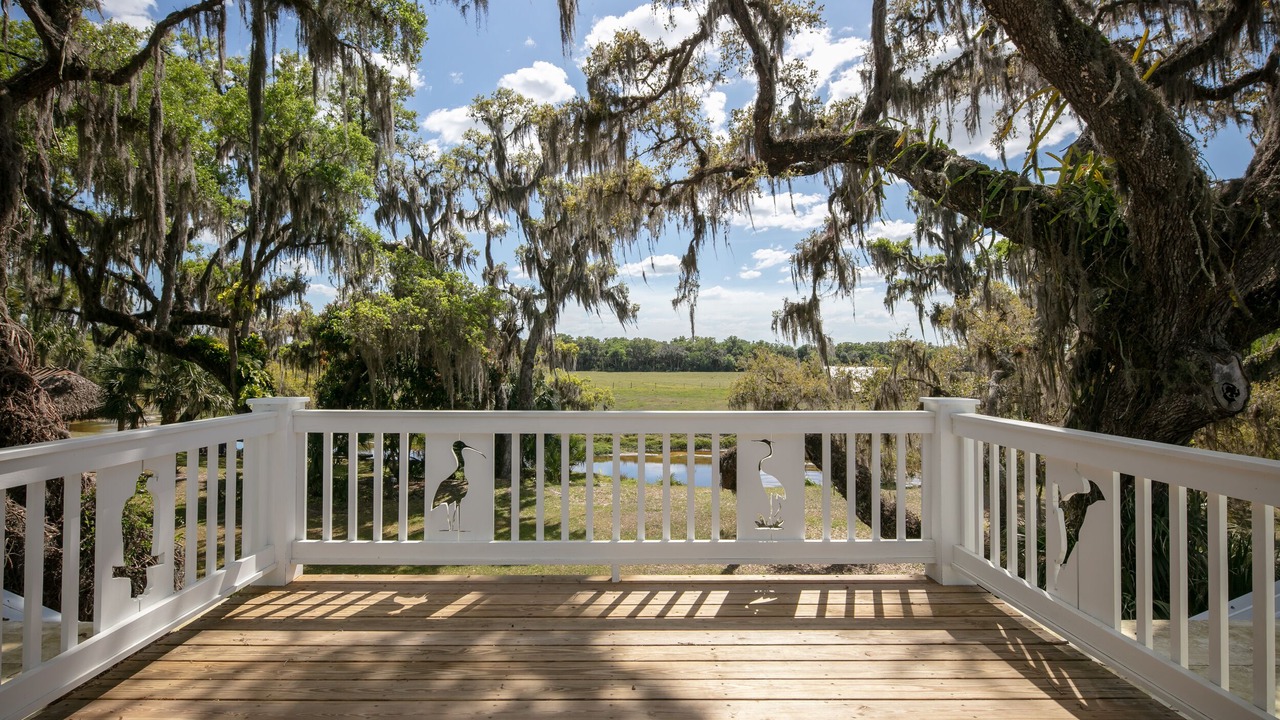 Photo of Outdoor in Myakka City