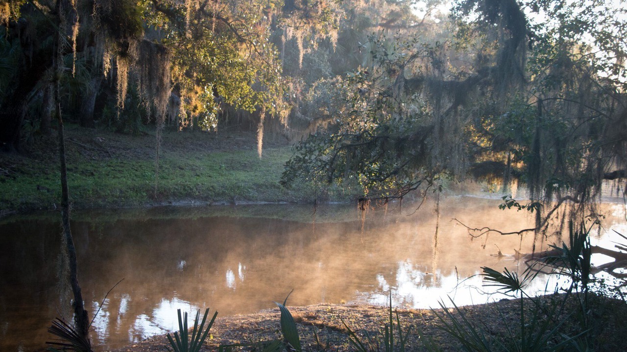 Photo of Others in Myakka City