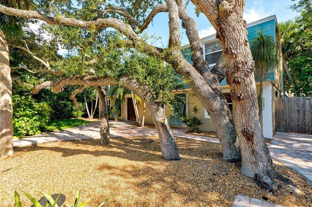 Photo of Outdoor in Central Beach