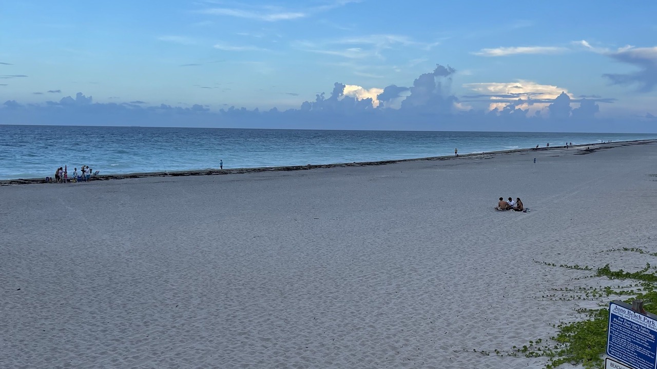 Photo of Others in Juno Beach
