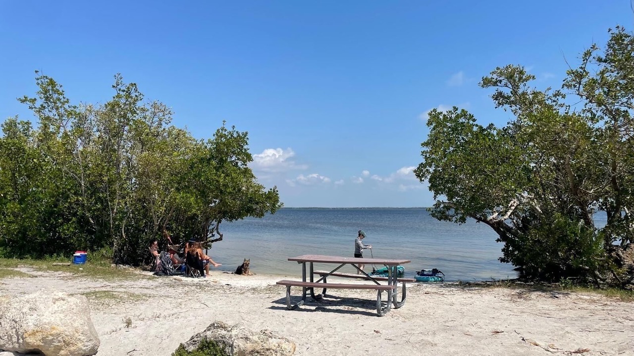 Photo of Others in Saint James City
