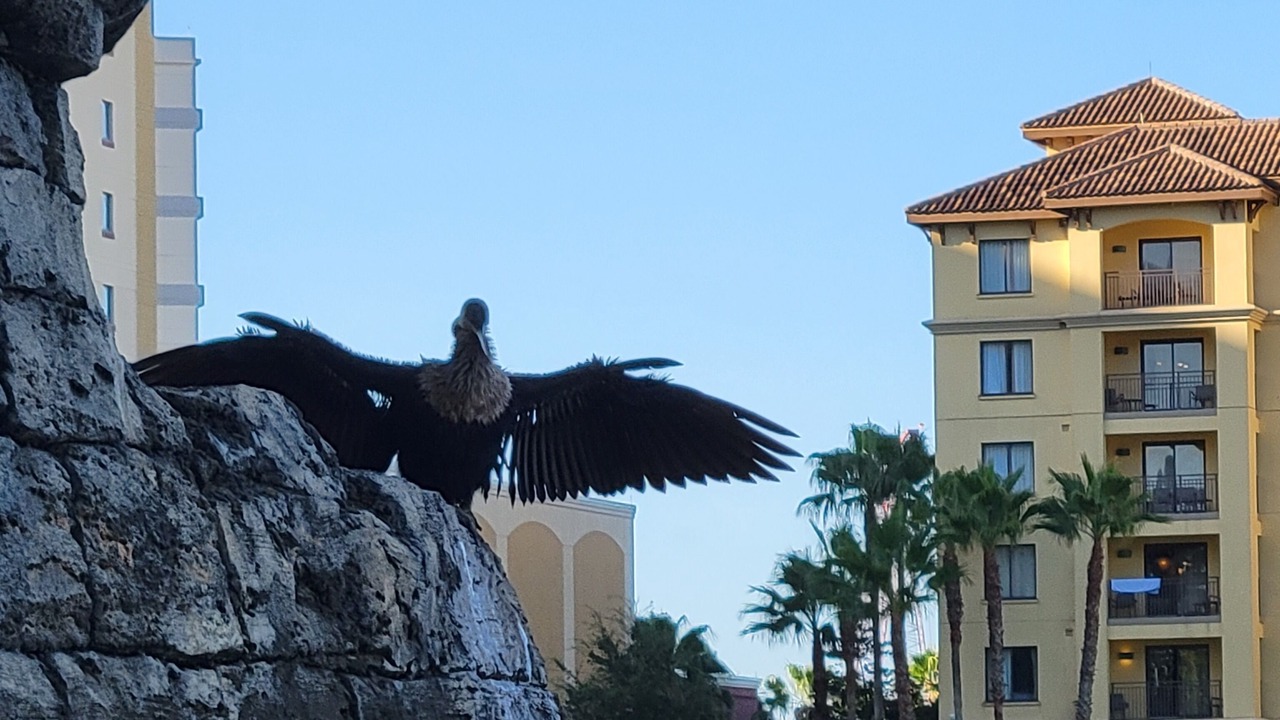 Photo of Others in Lake Buena Vista