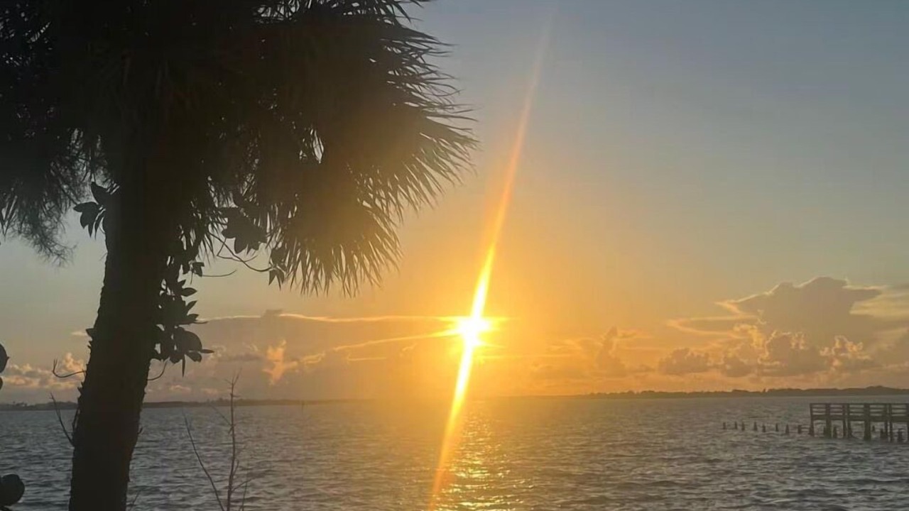 Photo of Others in Jensen Beach