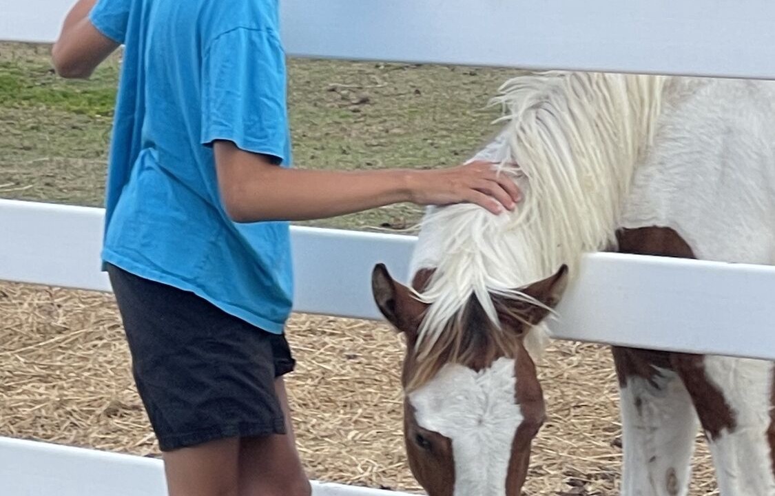 Photo of Others in River Ranch