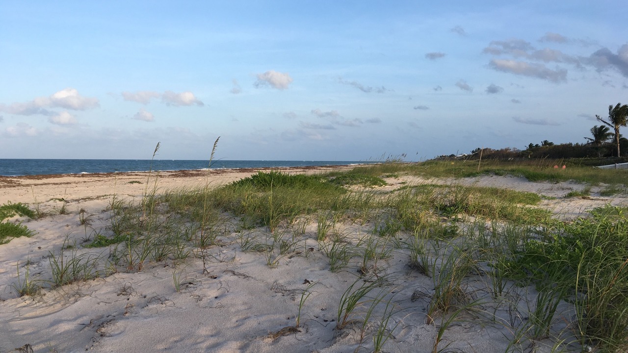Photo of Others in Vero Beach