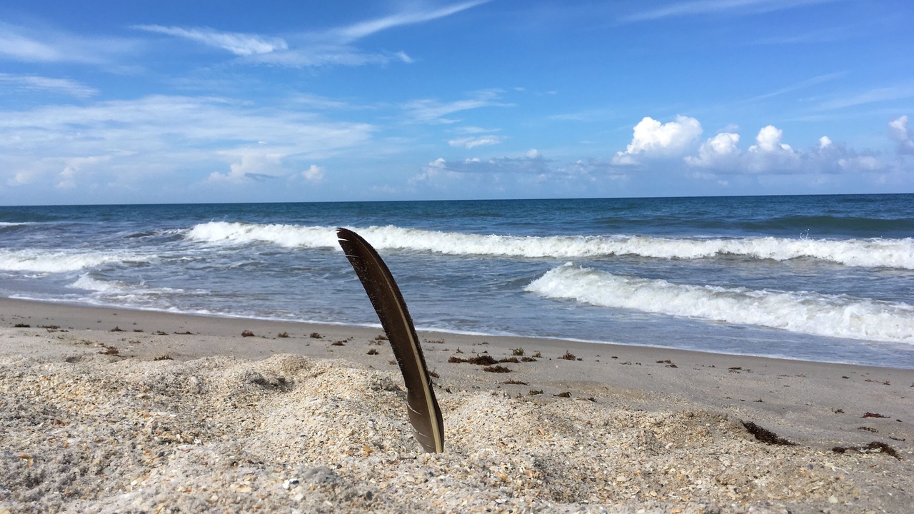 Photo of Others in Vero Beach