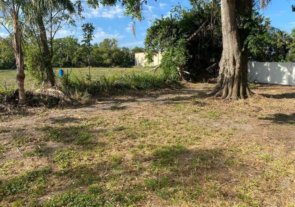 Photo of Others in Palmetto