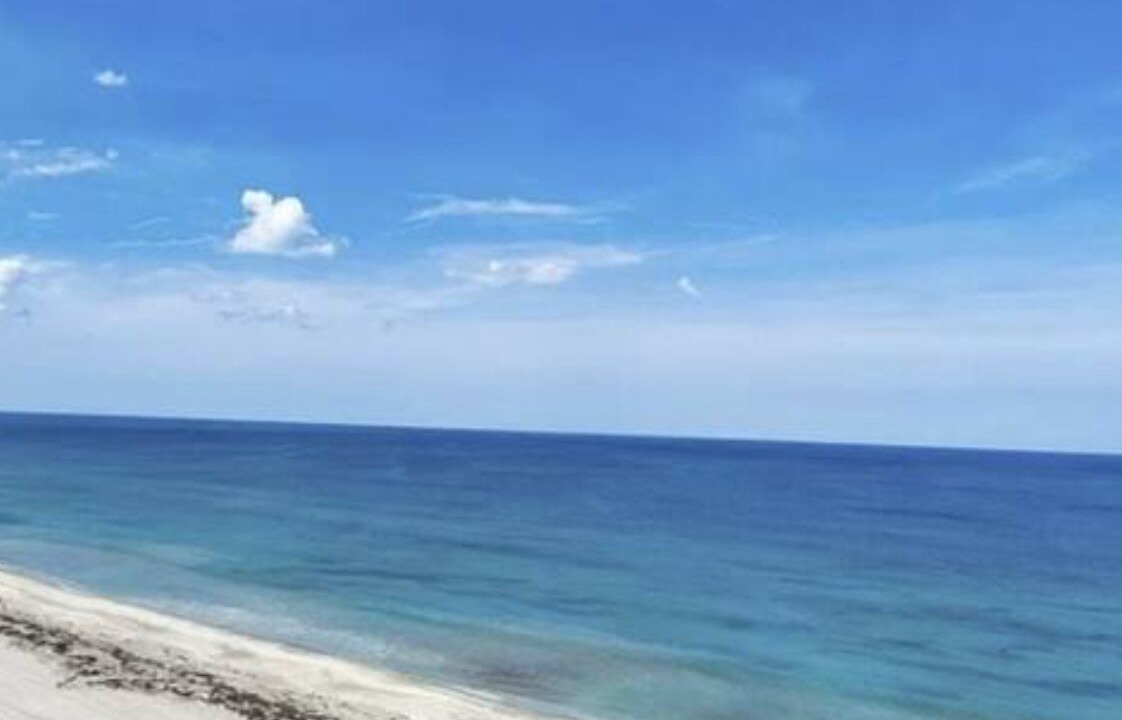 Photo of Others in Hutchinson Island South