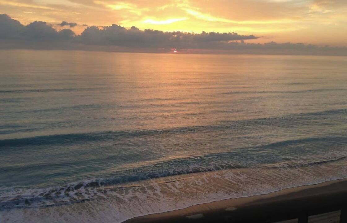 Photo of Others in Hutchinson Island South