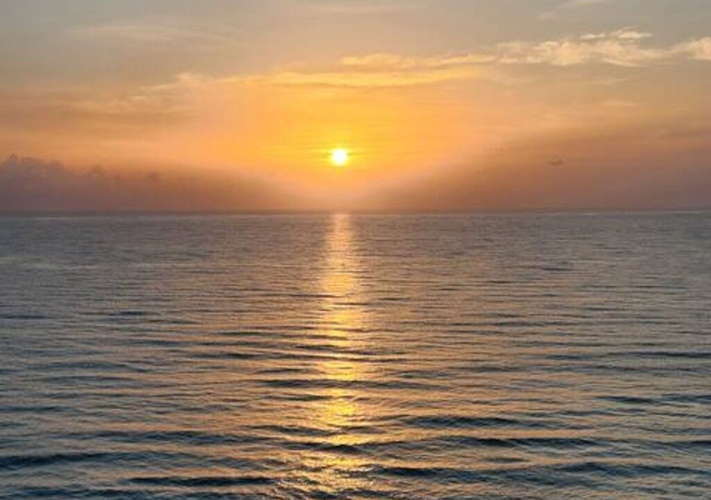 Photo of Others in Hutchinson Island South