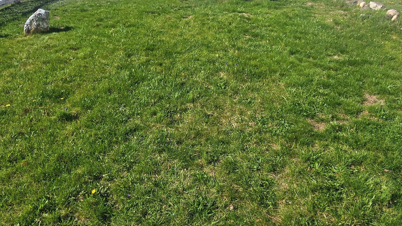 Photo of Outdoor in Teaneck